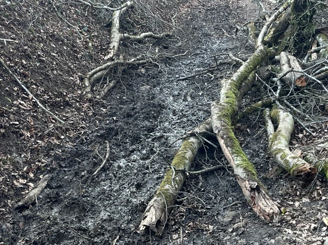 img.jpg?credential=yqXZFxpELC7KVnFOS48ylbz2pIh7yKj8&expires=1769871599&allow_ip=&allow_referer=&signature=X%2F6bdNjQoJnIhCVkPA52VqfrTSY%3D