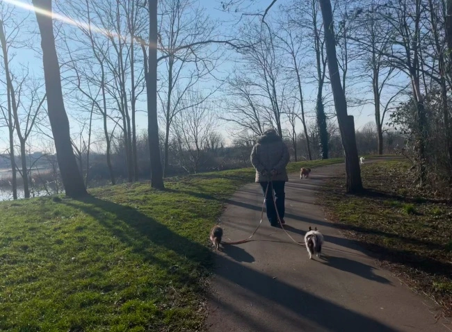 img.jpg?credential=yqXZFxpELC7KVnFOS48ylbz2pIh7yKj8&expires=1769871599&allow_ip=&allow_referer=&signature=PwwCgTvHlVRllOvfXo5RgafJQn0%3D