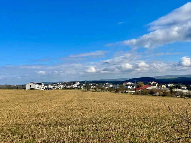 img.jpg?credential=yqXZFxpELC7KVnFOS48ylbz2pIh7yKj8&expires=1769871599&allow_ip=&allow_referer=&signature=33QBUf006OiOZV8rAmylIwRTHOY%3D