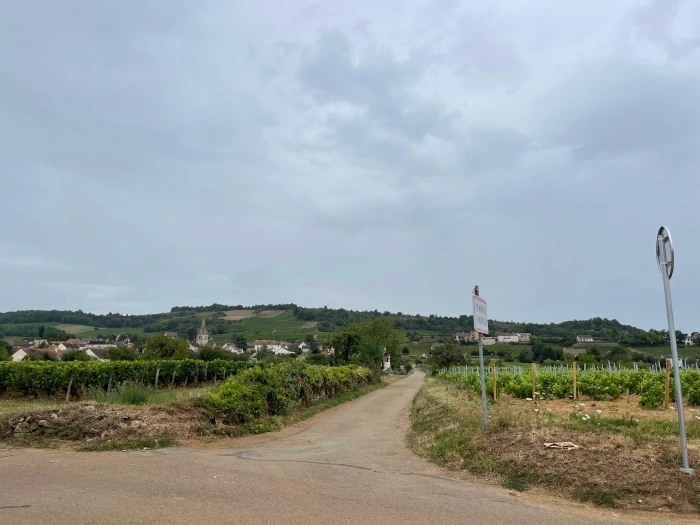 img.jpg?credential=yqXZFxpELC7KVnFOS48ylbz2pIh7yKj8&expires=1767193199&allow_ip=&allow_referer=&signature=q5bTyORvpRVyhxglVRHpPLnpGXA%3D