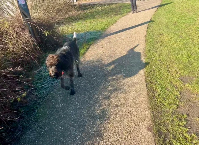 img.jpg?credential=yqXZFxpELC7KVnFOS48ylbz2pIh7yKj8&expires=1769871599&allow_ip=&allow_referer=&signature=5VWUeHutbZQfoH8GOaaZ3VNnYUo%3D