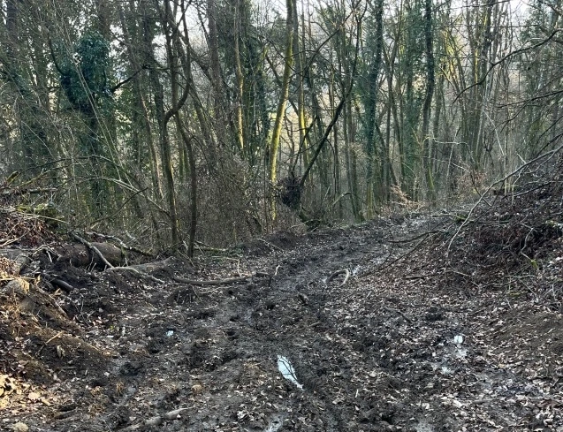 img.jpg?credential=yqXZFxpELC7KVnFOS48ylbz2pIh7yKj8&expires=1769871599&allow_ip=&allow_referer=&signature=j%2FVB%2BfHUWxVyRfM%2F1ux8HUpm8rA%3D