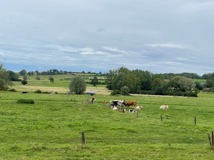 img.jpg?credential=yqXZFxpELC7KVnFOS48ylbz2pIh7yKj8&expires=1767193199&allow_ip=&allow_referer=&signature=VQi%2BUlIX1as9Gv2AGiFwhN99mF0%3D