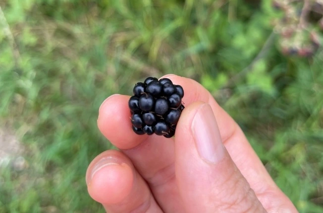 img.jpg?credential=yqXZFxpELC7KVnFOS48ylbz2pIh7yKj8&expires=1767193199&allow_ip=&allow_referer=&signature=o03pnxgL9Bj37ykUYI3tXq2zX%2FE%3D