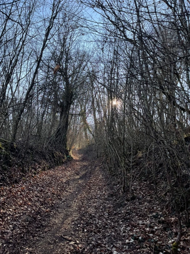 img.jpg?credential=yqXZFxpELC7KVnFOS48ylbz2pIh7yKj8&expires=1769871599&allow_ip=&allow_referer=&signature=WjnlJRxV1Te6kkKZKpHykpKQAiU%3D