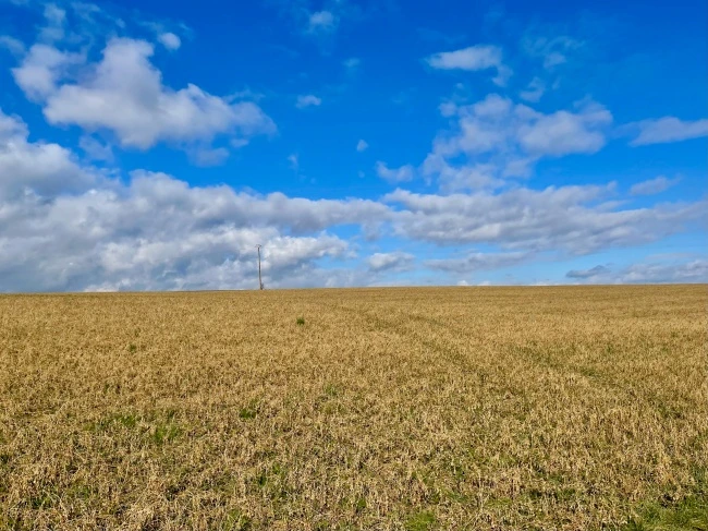 img.jpg?credential=yqXZFxpELC7KVnFOS48ylbz2pIh7yKj8&expires=1769871599&allow_ip=&allow_referer=&signature=tNTjcmcOevAmU1zAf%2FQoDhlSbaI%3D