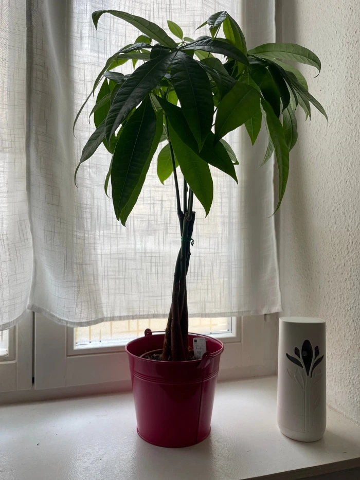 img.jpg?credential=yqXZFxpELC7KVnFOS48ylbz2pIh7yKj8&expires=1767193199&allow_ip=&allow_referer=&signature=rRsLYlvpTAgtufvXpwx%2FyRrisIo%3D