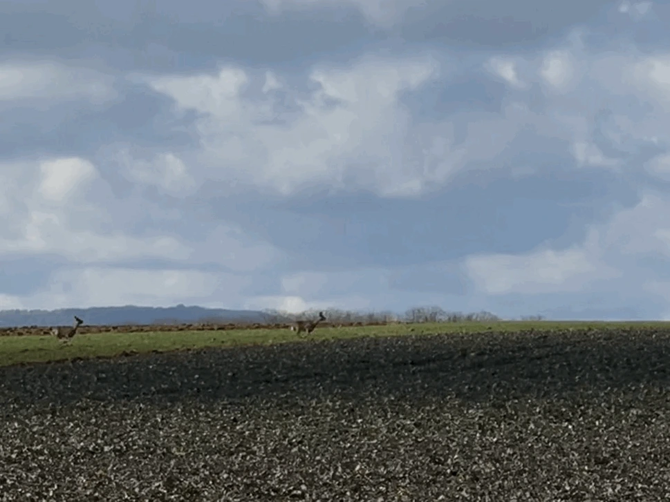 img.gif?credential=yqXZFxpELC7KVnFOS48ylbz2pIh7yKj8&expires=1769871599&allow_ip=&allow_referer=&signature=1sPQuMc5pH55eB274WI%2BjaM2MhY%3D