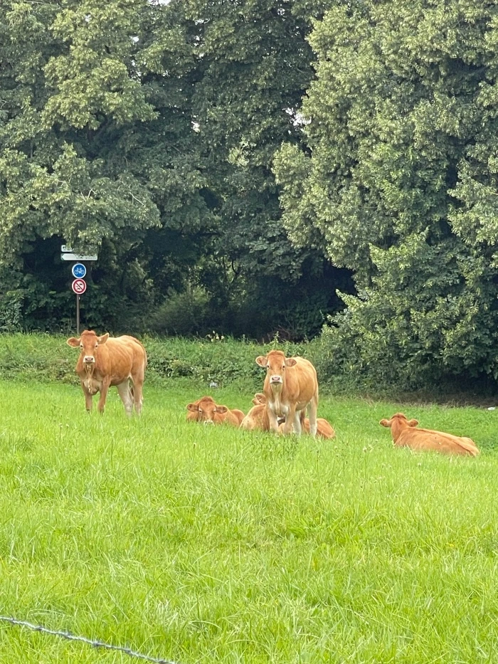 img.jpg?credential=yqXZFxpELC7KVnFOS48ylbz2pIh7yKj8&expires=1767193199&allow_ip=&allow_referer=&signature=JAov1PChfchh9un94y0zsBJcDxY%3D