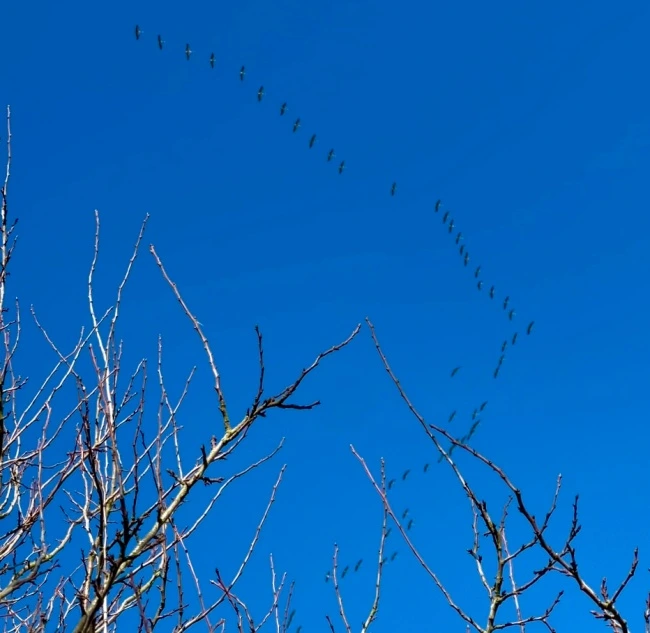 img.jpg?credential=yqXZFxpELC7KVnFOS48ylbz2pIh7yKj8&expires=1769871599&allow_ip=&allow_referer=&signature=BankzInqOBQiN8gRATQYublCsHg%3D