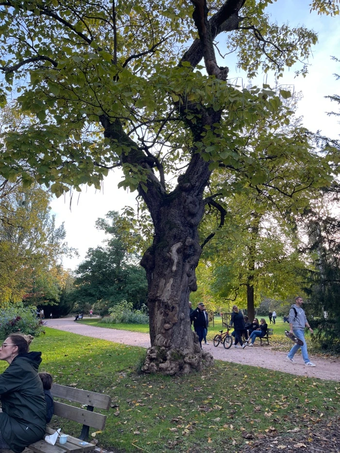 img.jpg?credential=yqXZFxpELC7KVnFOS48ylbz2pIh7yKj8&expires=1767193199&allow_ip=&allow_referer=&signature=L%2FJBQ81eMmwVuszD5wKJUWbJeS4%3D