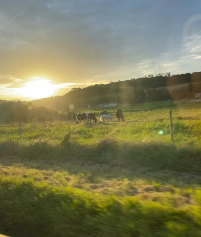 img.jpg?credential=yqXZFxpELC7KVnFOS48ylbz2pIh7yKj8&expires=1767193199&allow_ip=&allow_referer=&signature=u56BlNu9NjQAvURyG4VCCm7poJs%3D