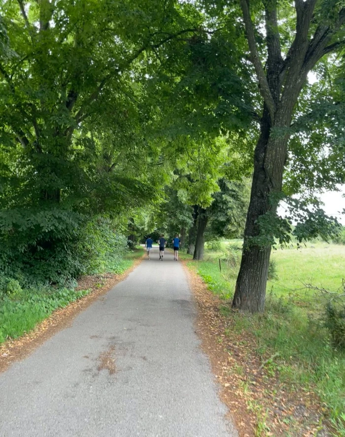 img.jpg?credential=yqXZFxpELC7KVnFOS48ylbz2pIh7yKj8&expires=1767193199&allow_ip=&allow_referer=&signature=tNd%2FMPLr8YjNPcx7IQvyXM6bN8k%3D