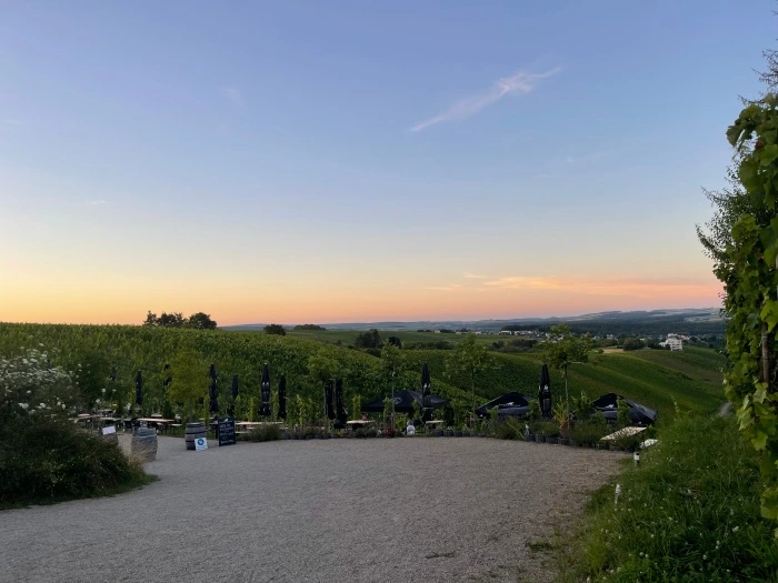 img.jpg?credential=yqXZFxpELC7KVnFOS48ylbz2pIh7yKj8&expires=1767193199&allow_ip=&allow_referer=&signature=29BUB%2B3YQk5WvxIBENkxRMw364U%3D