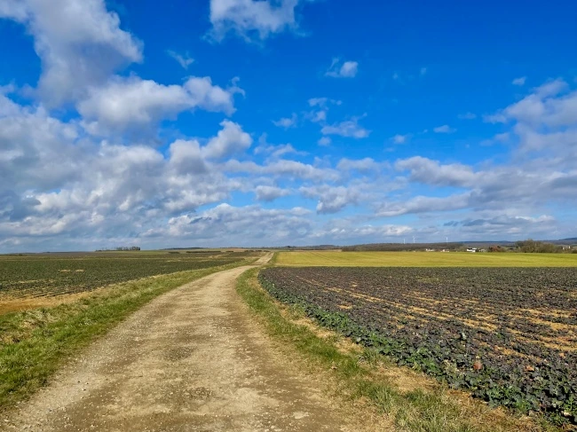 img.jpg?credential=yqXZFxpELC7KVnFOS48ylbz2pIh7yKj8&expires=1769871599&allow_ip=&allow_referer=&signature=x9Bk8neW76sCkZYiQthkqocwf7M%3D