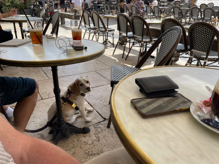 img.jpg?credential=yqXZFxpELC7KVnFOS48ylbz2pIh7yKj8&expires=1764514799&allow_ip=&allow_referer=&signature=xk%2BoGDih%2BAMhtc%2F1fX5vI65nvyg%3D