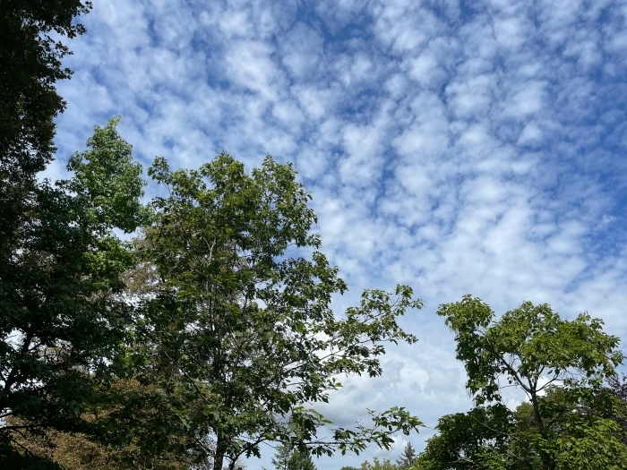 img.jpg?credential=yqXZFxpELC7KVnFOS48ylbz2pIh7yKj8&expires=1767193199&allow_ip=&allow_referer=&signature=xU%2FCMd0J%2BAGx8Vm4jO%2FfeHULEJE%3D