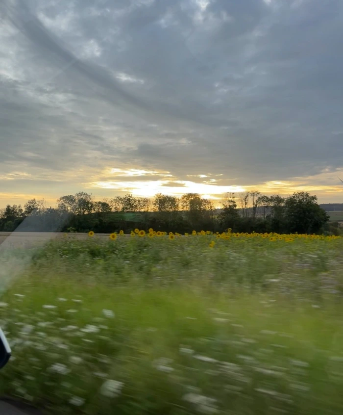 img.jpg?credential=yqXZFxpELC7KVnFOS48ylbz2pIh7yKj8&expires=1767193199&allow_ip=&allow_referer=&signature=Mrug7%2Bcd6JTsbzv4iKuQjz5JL70%3D