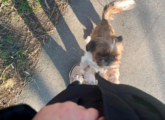 img.jpg?credential=yqXZFxpELC7KVnFOS48ylbz2pIh7yKj8&expires=1769871599&allow_ip=&allow_referer=&signature=YGXkMbro%2BAKYhGwqZAwO8EZghIY%3D