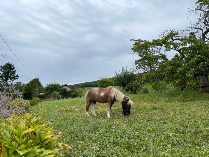 img.jpg?credential=yqXZFxpELC7KVnFOS48ylbz2pIh7yKj8&expires=1767193199&allow_ip=&allow_referer=&signature=l6m1PiNwbK361Z0wj%2BKWydi2COo%3D