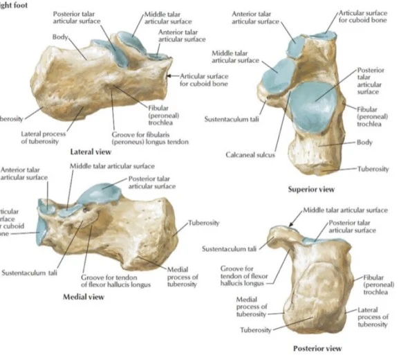 IMG_2642.jpg?type=w580