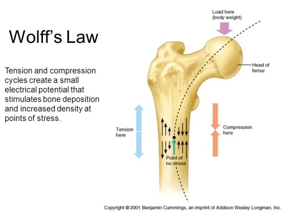 slide_58_(1).jpg?type=w580
