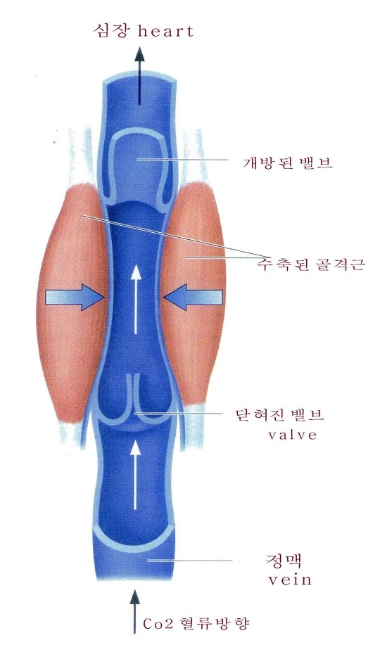 27557E4D5786F0D00B.jpg?type=w580