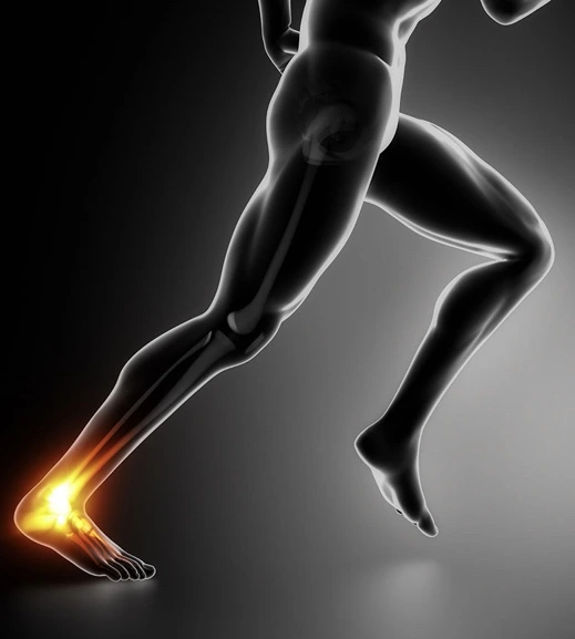 IMG_3393.jpg?type=w580