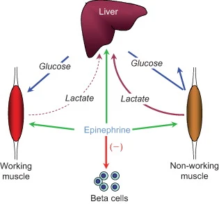 3-s2.0-B9780123739759000082-gr18.jpg?type=w580