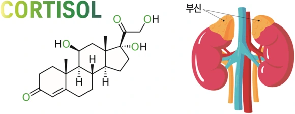 mintrol-img-4.png?type=w580