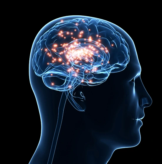 113477078.jpg?type=w580