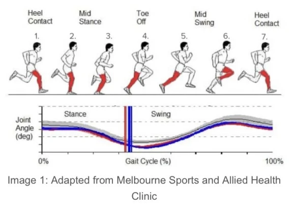 IMG_3390.jpg?type=w580