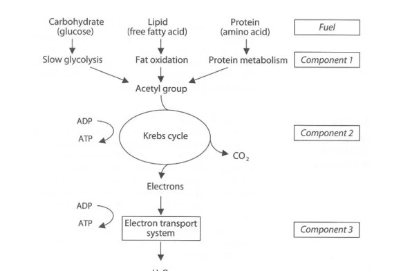 IMG_3388.jpg?type=w580