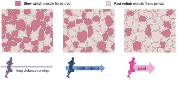 output_3717339880.jpg?type=w580