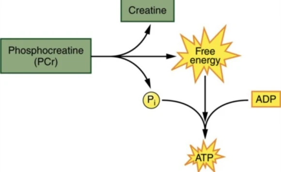 output_2045038804.jpg?type=w580