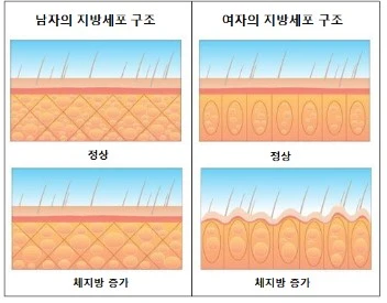 %ED%99%94%EB%A9%B4_%EC%BA%A1%EC%B2%98_2022-10-14_234023.jpg?type=w580