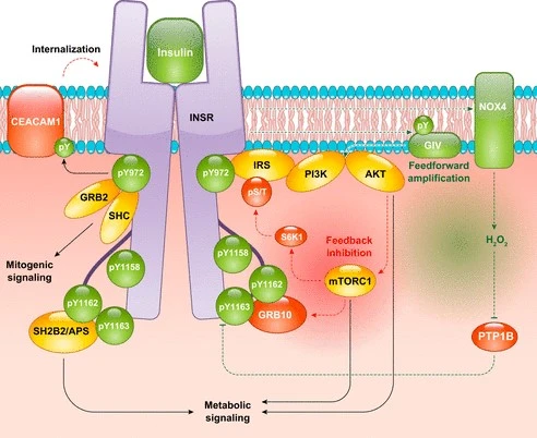 %ED%99%94%EB%A9%B4_%EC%BA%A1%EC%B2%98_2022-08-07_232005.jpg?type=w580
