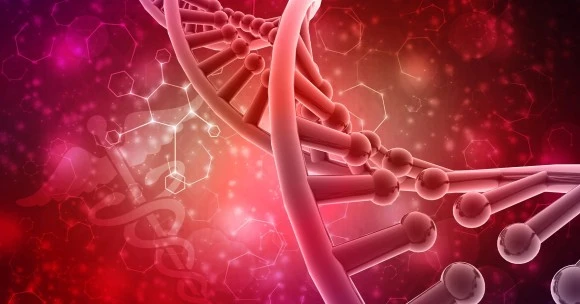 %ED%99%94%EB%A9%B4_%EC%BA%A1%EC%B2%98_2022-08-07_230548.jpg?type=w580