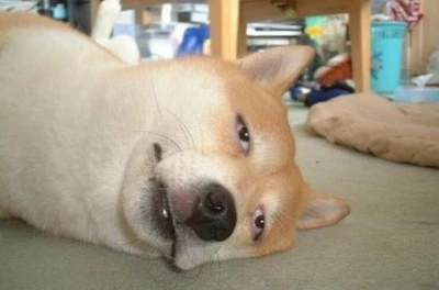 SE-a790cc12-abf1-48a1-b774-13bcb208c959.png?type=w800