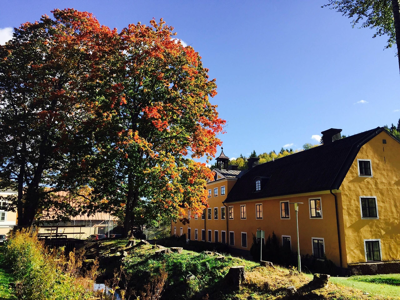 연구소 가을2.JPG