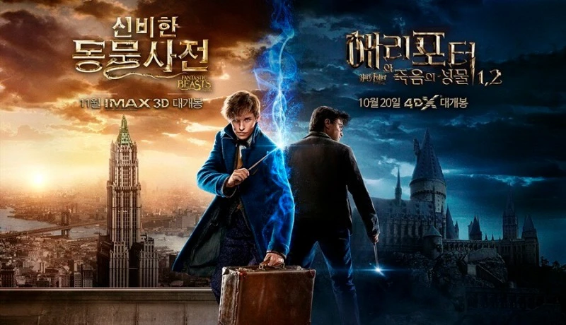 IMG_0986.jpg?type=w800