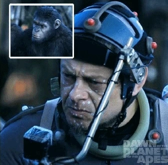 img_20140723102347_09f489f6.gif?type=w1200