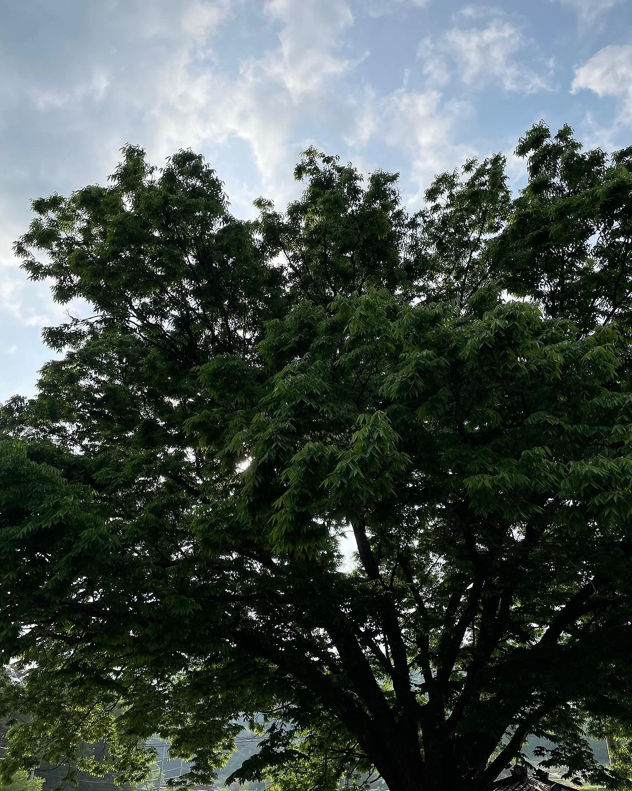 2022_0507_ (17)_.JPG