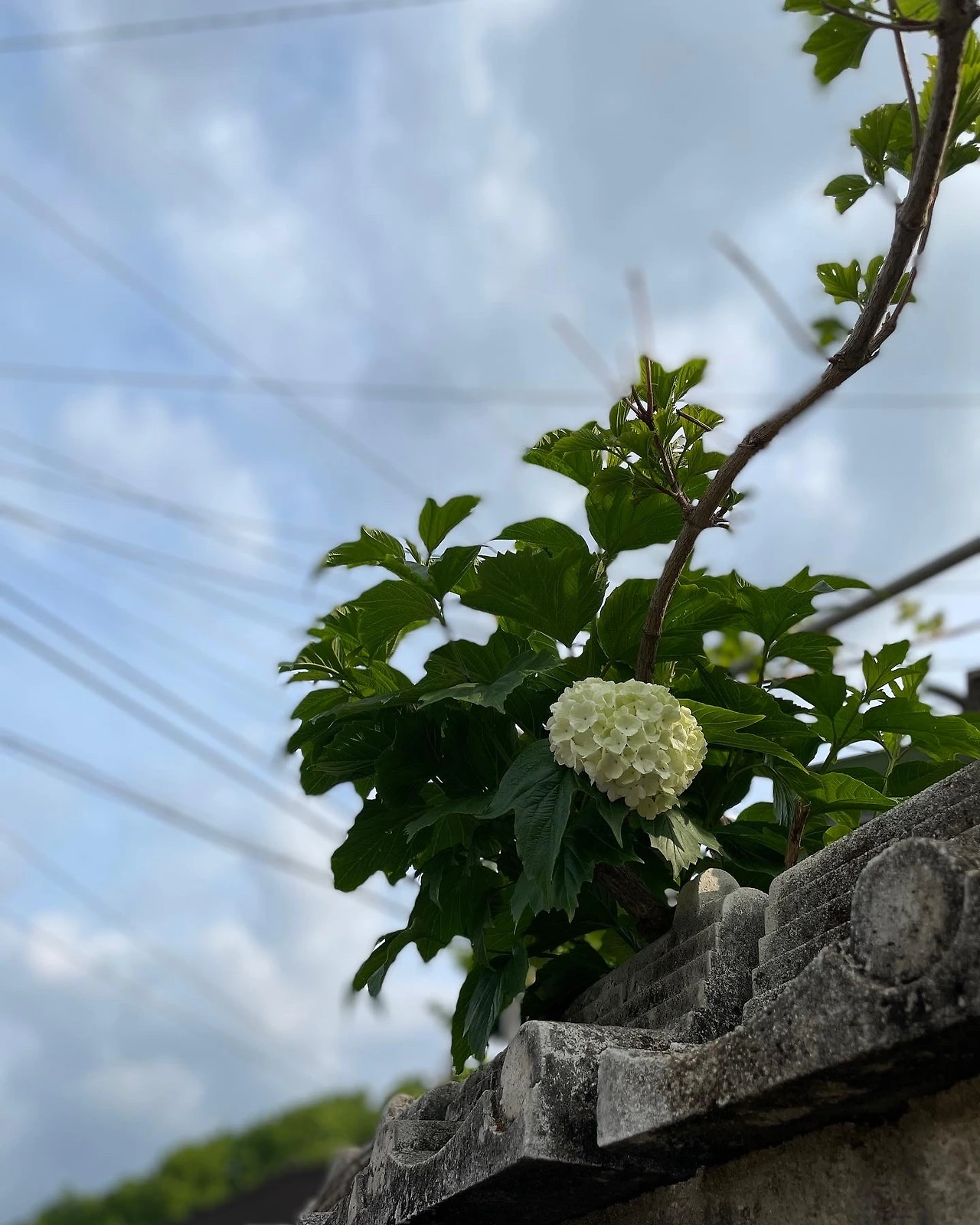 2022_0507_ (16)_.JPG