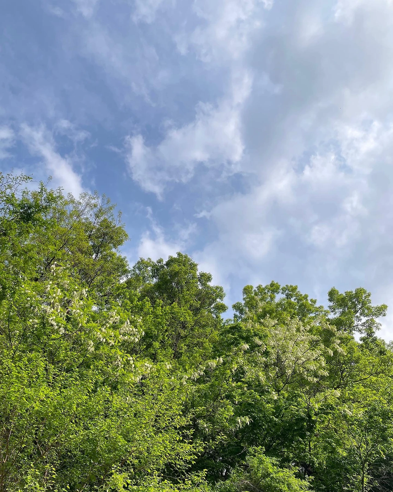 2022_0507_ (15)_.JPG