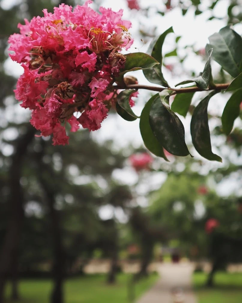 Nu_Ebo3o5b6WZLf-XRmz9N7esgAbDs-HWF2DstG6p-ibarTAB77nwuM8MpT4RTvrOSl_aBnI-zkheoJyRpZ-UcUiHnJId2KbpgyqHwVC9jDODHQY9UqPWbvBANXLOyejBhqJ8sT9fFHktl9CzVJ-aDx7NIvigjxyTf_hEh3mT6sKfhWrqJNKCpN7yYofx4XIvyOX7lstvnFq9Vwg_BKGO1mWU1_rORW34V58WXC278eHN4AVKEN5iRBtcfPCnOYr6St8R9UeIp6_zBuYltIVxc4XdsyPQhElssBKa-TeesR6FaXHXx2Nl0-kBhkjpWm2Wv4ue5EtB2R0Wm5fwe9uLH_nodPRIy-8GrSmce3UW-p-NWlfBAJ_ZTPQOtDhQYjm3BUkLecxQ-gdqbQWEGCIDVoqUcbqHuqSHAZbhmnka6Vs78ZGt85n8kAJ5T4Q5MULScoKU2XAw3GEAO2BiPN3XOHEe_Wby4aDLcDyuhgr8tb-u9fJyl2kAWuzsVqZREDti-8tFheKj-rQQ1h9GhPcH96Au0mYR1z2wEBdPjUS0c95Y-G2hwIPyvBGN4qIK0_3yzJPtBHjBcKcKctAP5OMcey-fiW_V_zAImCYPgEi5l-uZ1fn-47tcqSgp3JosoZ_yWaZ7HZ2KMiKKZtjIhddkhiFxHudf5M0pK4S91luZ3olthBh3HiI_bmH5PJL0j-53jFVWsFwUdX2TLHDv5qev5o9NQ=w808-h1009-no?authuser=0