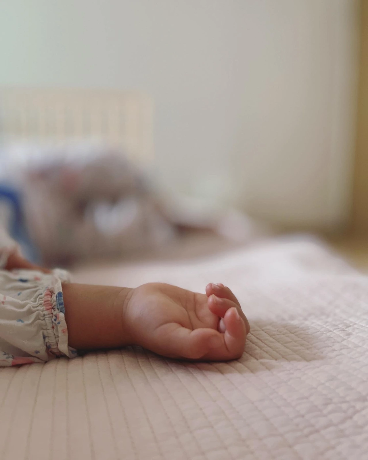 2022_1105_ (211)__.JPG