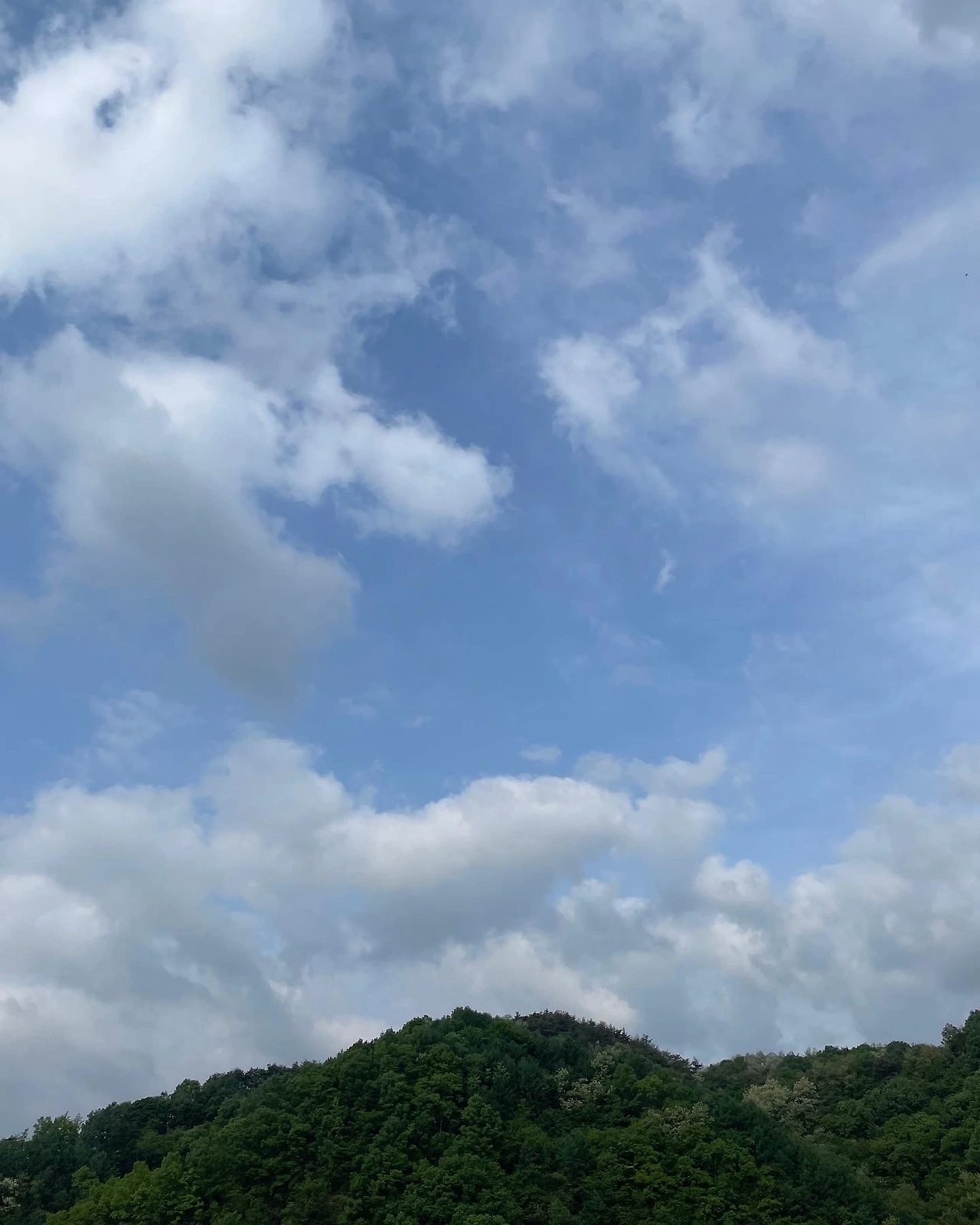 2022_0507_ (18)_.JPG