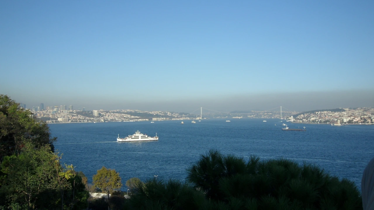 서지구 동지구.JPG