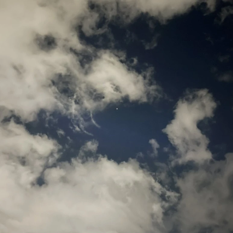 IMG_6557.jpg?type=w773